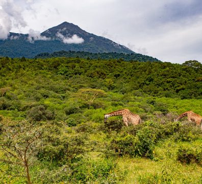 arusha-National-park